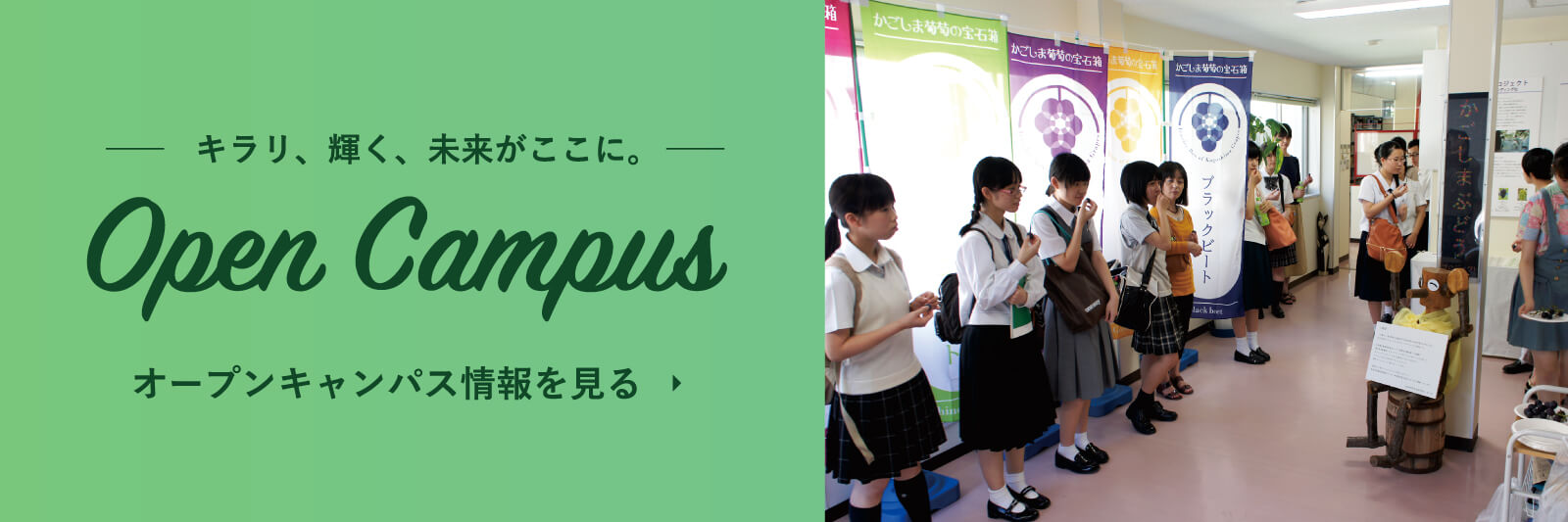 オープンキャンパス情報